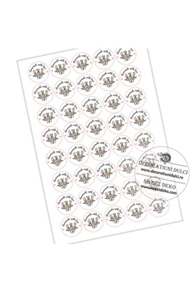 Decoratiuni Dulci Etichete autoadezive turcoaz si roz | Домашно с любов - 6см...