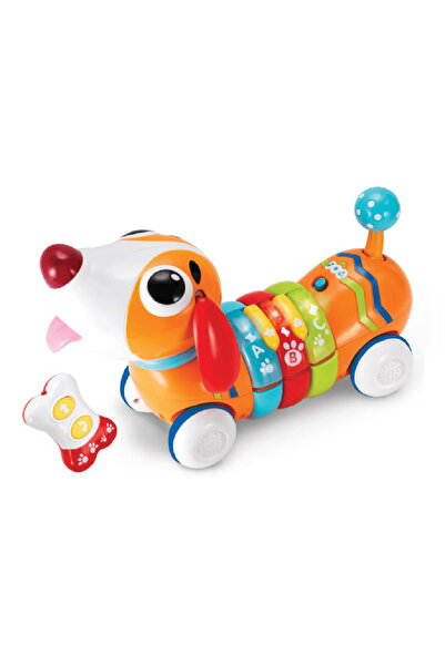 Generic Where Fun - Puppy and Remote Control