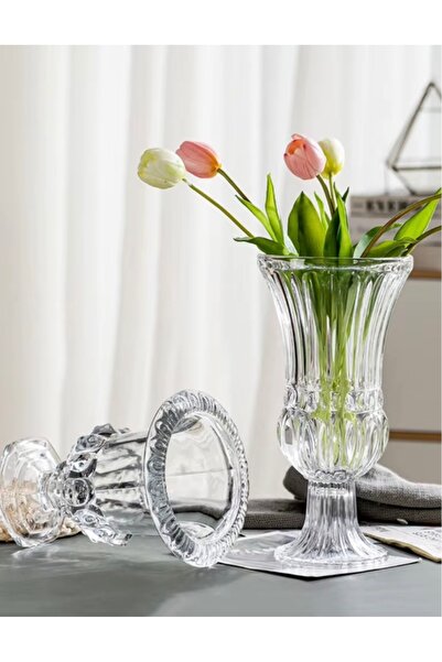 zepce design Şeffaf cam vazo 24 cm