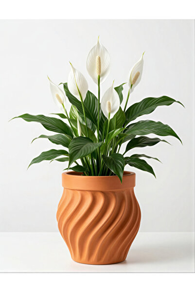 BEBÜTO Spiral Beton Saksı 22x20