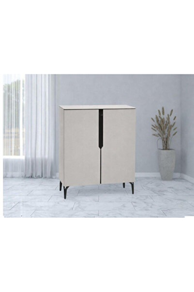 DEC10 Modern shoe cabinet