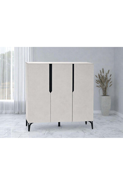 DEC10 Modern shoe cabinet