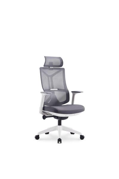 Fatio Modern Ergonomic Office Chair with Adjustable Headrest – 3 Position Loc...