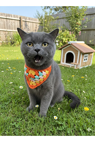 HENERA Crochet Cat Collar - Cat Accessory - Pet Accessory - Cat Collar