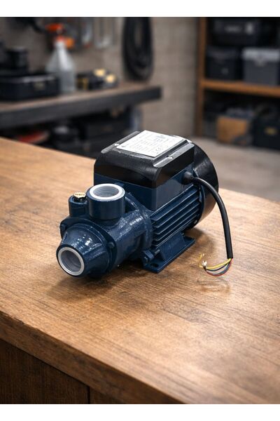 bakraj Half horsepower water dynamo