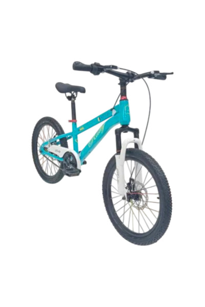 Rally دراجة مقاس 20 بوصة