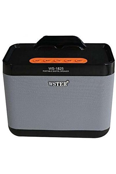 Generic Wireless Speaker Model WS-1825