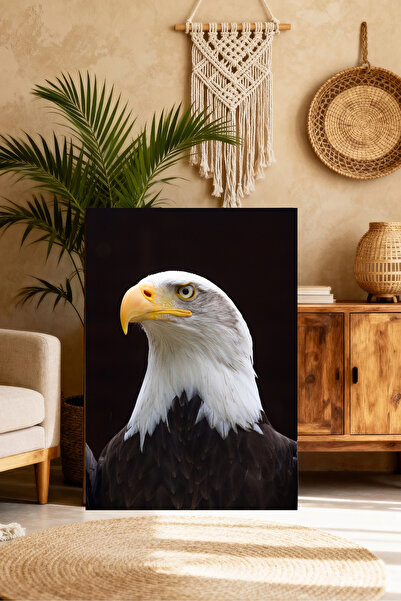 Mushen Studio White Eagle Portrait Painting - American Eagle Close-Up Wall Art