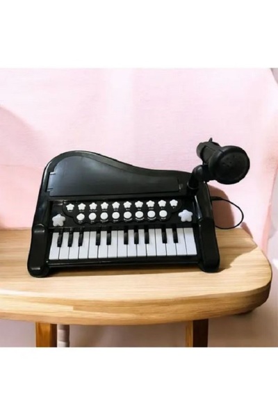 HollyMall Mini Oyuncak Piyano Mikrofonlu, Işıklı ve Sesli 25 adet Tuş, 29cm