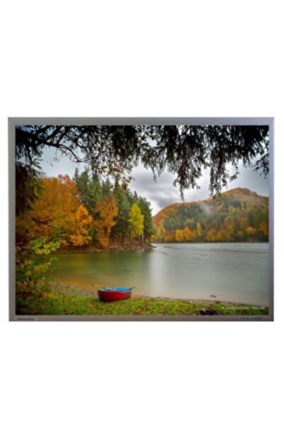 DRAGUS Panou radiant cu infraroșu de 300W