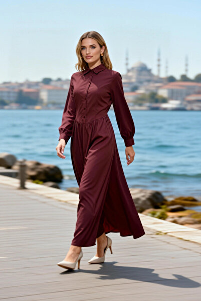 BENERLY Women's Maxi Dress Lapel Long Sleeve Skater Pattern Woven Plain Patte...