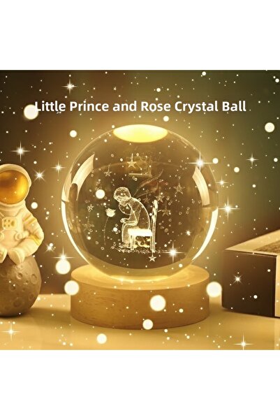 magicool The Little Prince and the Rose Planet