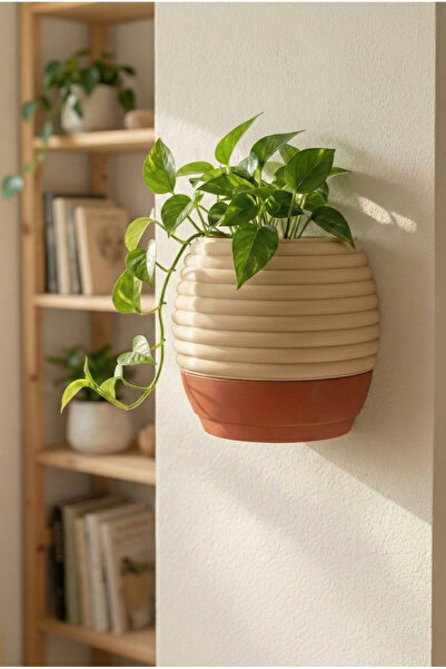Puffin Design Hive Duvar Saksısı