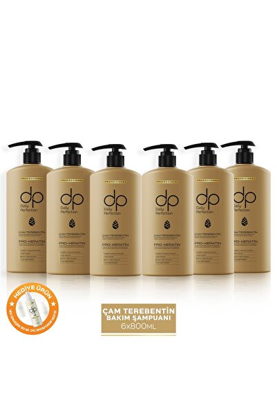dp Daily Perfection Şampuan Çam Terebentin 800 ml X 6 Adet