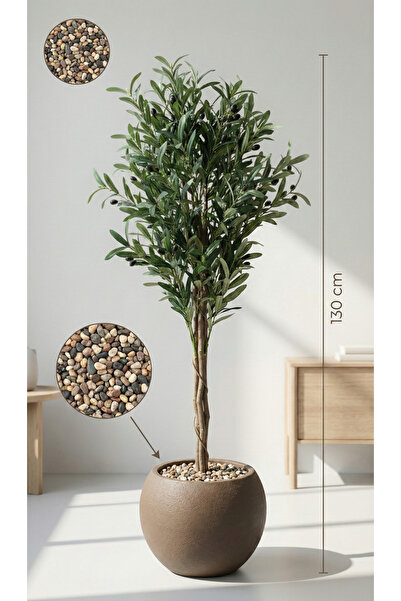 MG شجرة زيتون بطول 130 سم بمركن مكور