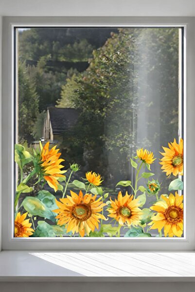 Aysha Tasarım Ayçiçeği Temalı Duvar Sticker