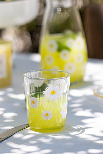 Rakle Fiona 4 Pieces 315 Cc Water Glass Set