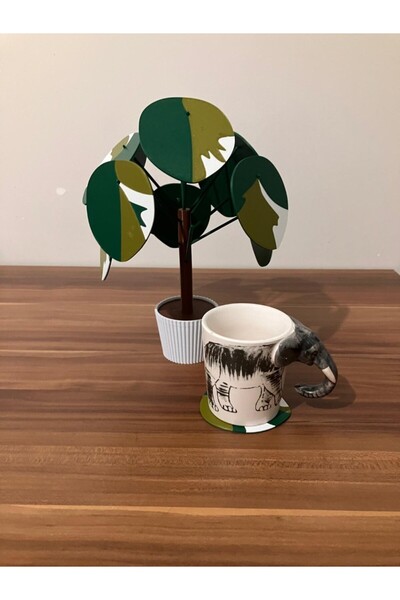 genomera نبات بيليا بيبروميوديدز (نبات النقود الصيني) 20x20x30 سم