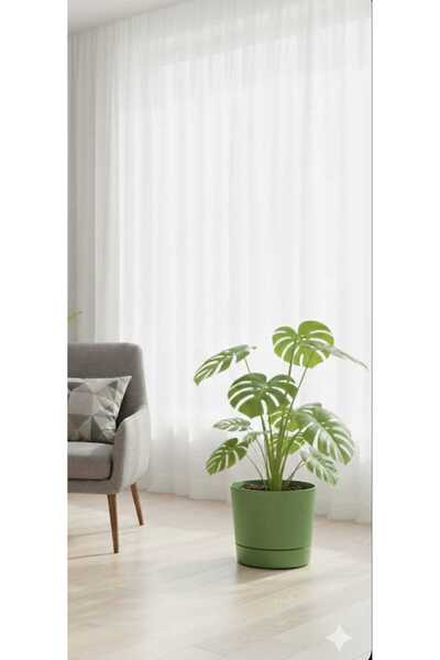 polivahome 9 Litre Yeşil Begonya Saksı Tabaklı Dekoratif Mat Plastik Saksı