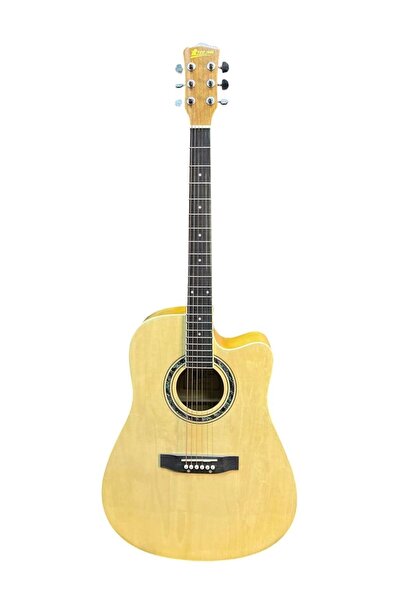 Tree Root Classical guitar, model number TR-401, brown color
