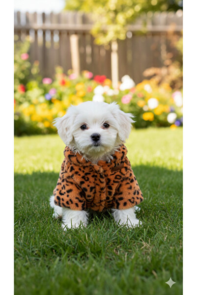 Patilemece Leopar Desenli Turuncu Peluş Kedi Köpek Montu