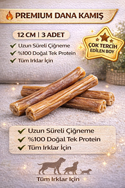 Eva & Wall-e Köpek Ödül Çubukları: %100 Doğal Dana Kamış Bully Stick Taze Kamış