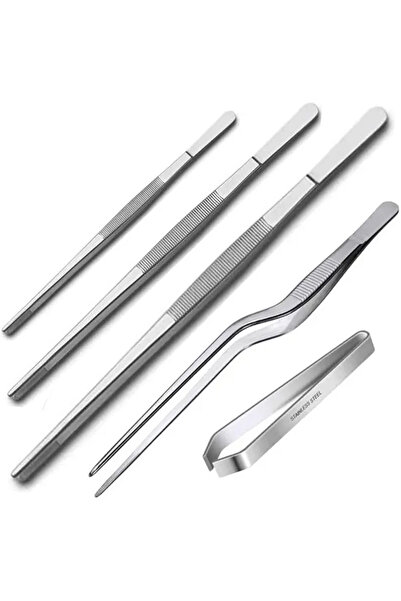 Gurme Chef Profesyonel Şef Dekor Cımbızı, 5 Li Set