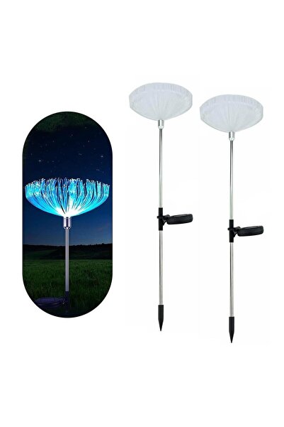 Powermaster PM-21643 Solar Ledli 7 Renk Değıştiren Bahçe Dekorasyon Aydınlatm...