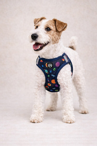 Alphadog Space Köpek Göğüs Tasması