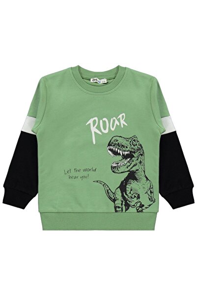 Civil Boys Спортивний костюм з принтом динозавра для дітей 2-5 років - хакі 2...