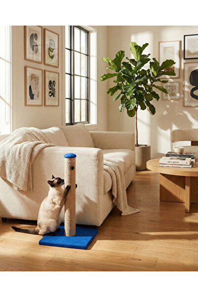 BRT Pet لوح خدش القطط الزرقاء - 42 سم