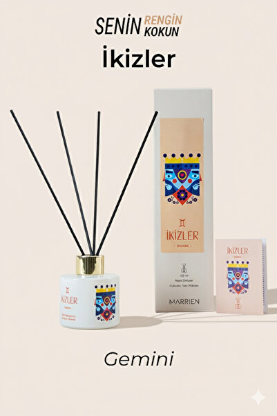 GEMINI Stick Room Fragrance Special Series 100 ml- Permanent and Decorative Cleaning Fragrance