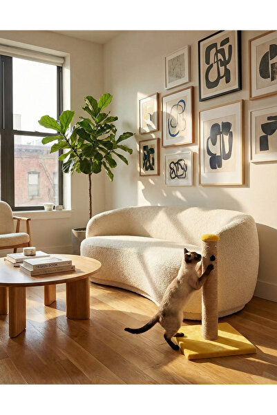 BRT Pet لوح خدش للقطط باللون الأصفر - 42 سم