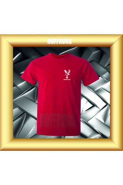 HOFFNUNG Unisex Short Sleeve Round Neck Hoffnunf League Printed Solid Color t...