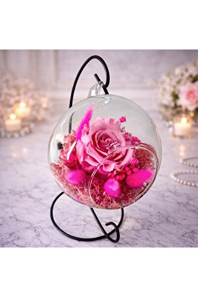 velve Trandafir Criogenat Glamouroses,broom,lagurus,licheni stabilizati criog...