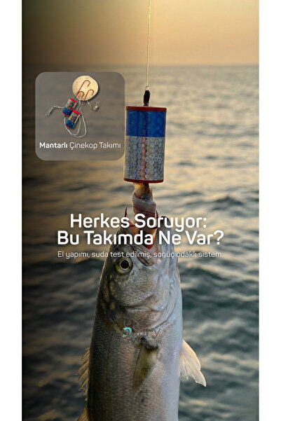 SAY Balıkçılık Mantarlı Çinekop Takımı – Hazır Kurulu Parlak Renkli Sistem – ...