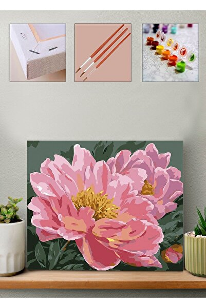 Carmen Sayılarla Boyama Seti - Şakayık Çiçeği