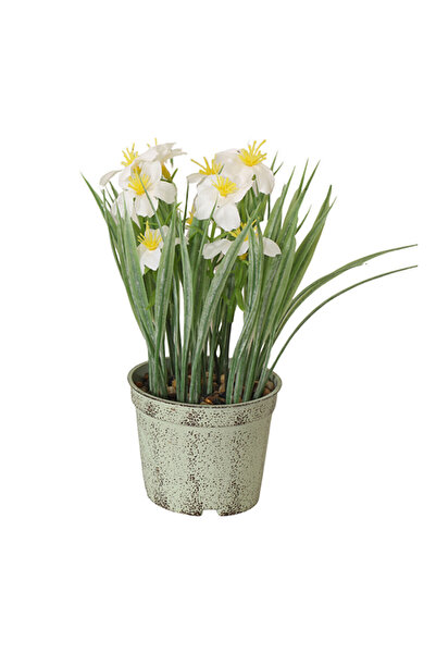 KOÇTAŞ Yapay Bitki Sia Beyaz Çiçek