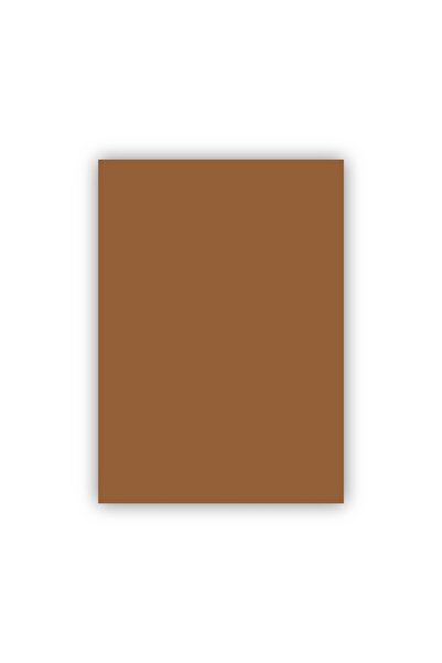 Bigpoint Fon Kartonu 50x70cm 160 Gram Kahverengi x 100 Adet