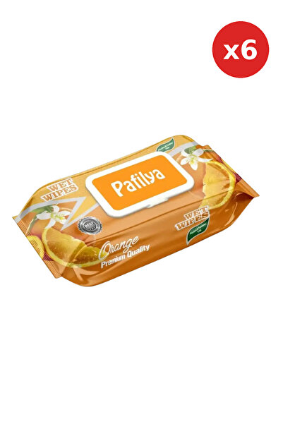 Pafilya PROMO PACK - 6 x Wet wipes for sensitive Leather with potrocale and a...