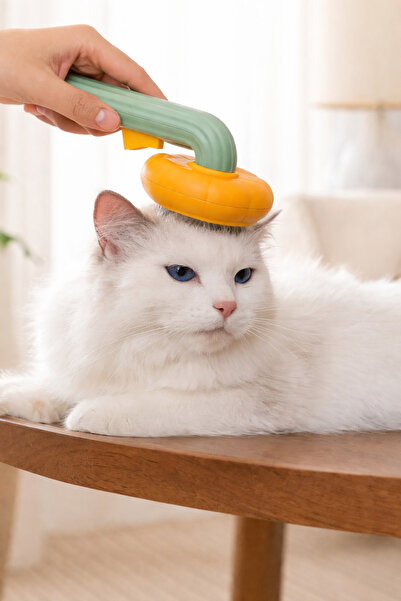 Ervinay Pumpkin Design Cat and Dog Hair Removal Comb