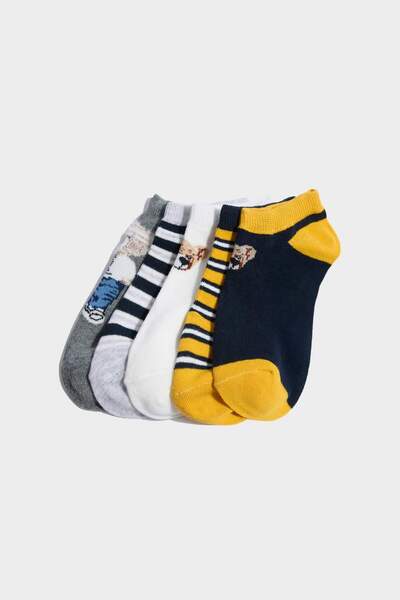 DeFacto 5-Pack Cotton Booties Socks with Teddy Bears for Boys G2023A8Ns