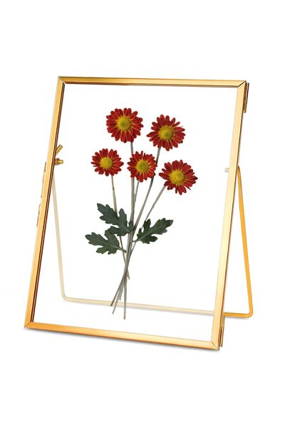OEM Double glass photo frame for dried plants, rectangular