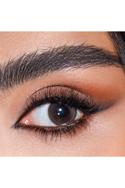 Amara Sassy Monthly Disposable Contact Lenses, Color Contact Lenses, Brown Co...