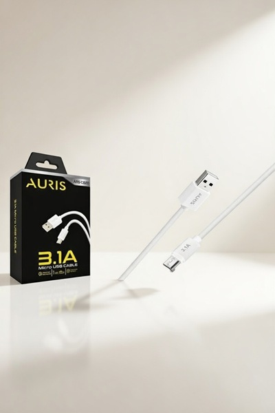 Auris ARS CB20 1 m Micro USB Kablo 3.1A Hızlı Şarj Kablosu