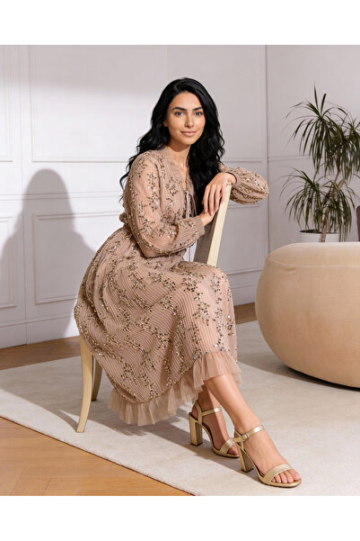 REDTAG Women Beige Fully Sequence Mesh Dress