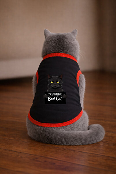 petite pati تيشيرت أسود مطبوع عليه قطة من Black Wanted مقاس M (100% قطن ممشط)