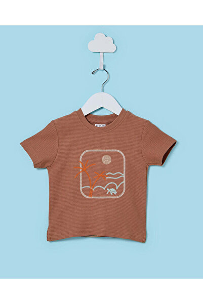 REDTAG Infant Boys Rust Embroidery T-Shirt