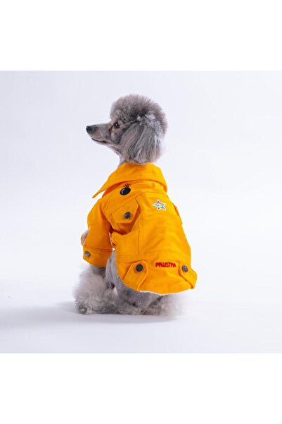 Pawstar Sarı Cancun - Cancún Ceket Gabardin Çıtçıtlı Kedi Köpek Ceketi Kedi K...