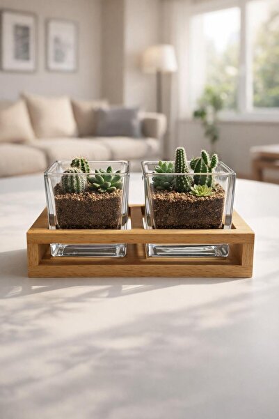 İLİVA Ahşap Standlı 2’li Cam Kase Saksı Seti – Dekoratif Sukulent & Kaktüs Sa...
